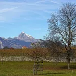 IMG_0154