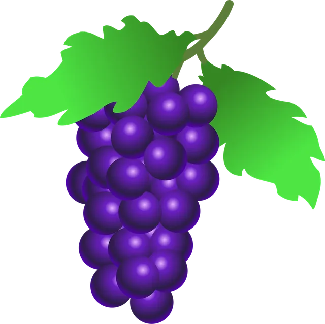 Vignoble de Chelsea